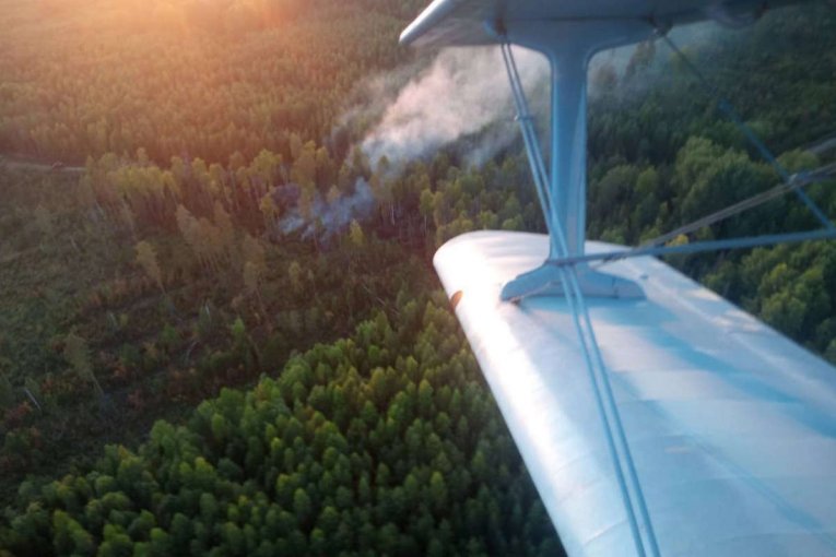 Фото: Леса Вологодчины под угрозой: пожароопасный сезон начался досрочно