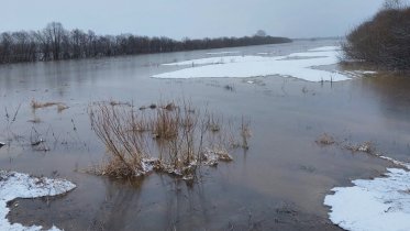 Фото: В Вологодской области откроют 13 временных водомерных постов для контроля паводка