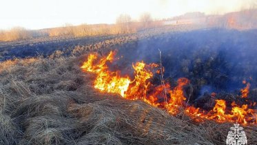 Фото: В Вологодской области зарегистрирован первый случай возгорания сухой травы
