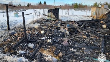 Фото: Гуси и куры погибли на пожаре в Великоустюгском округе