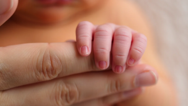 Фото: В Вологодской области родителям более 20 тысяч детей назначили единое пособие