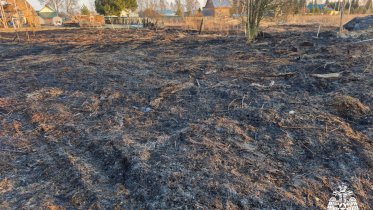 Фото: В Вологодской области зафиксированы пять случаев палов травы за сутки