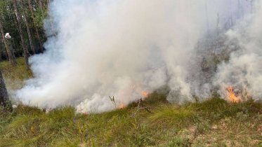 Фото: Вологодская область готова к раннему пожароопасному сезону