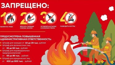 Фото: Особый противопожарный режим введут в Вологодской области с 31 марта