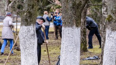 Фото: Вологодская область готовится к масштабной весенней уборке