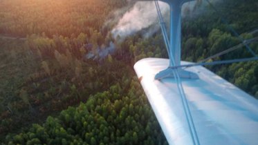 Фото: Леса Вологодчины под угрозой: пожароопасный сезон начался досрочно