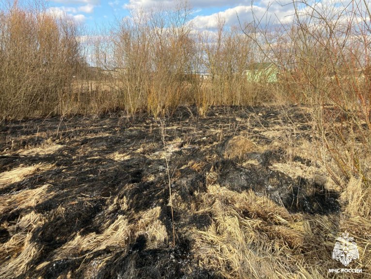 Фото: Три пала сухой травы за сутки произошли в Вологодской области