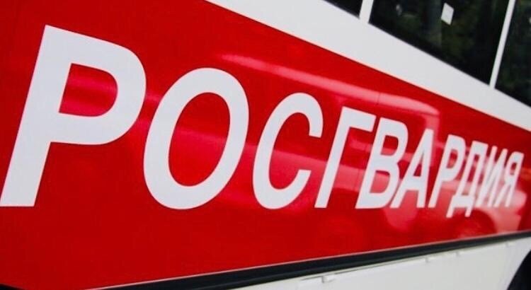 Фото: Росгвардия за неделю задержала 22 подозреваемых в Вологодской области