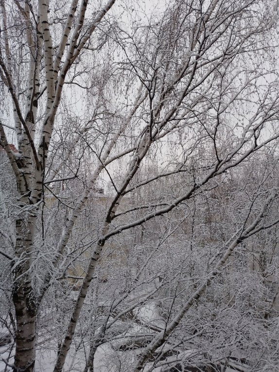 Фото: Холода и снегопады: непогода держится в Вологодской области