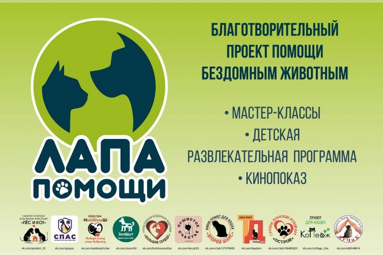 Фото: Череповец приглашает на благотворительный концерт в помощь бездомным животным