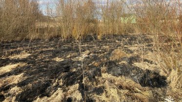 Фото: Три пала сухой травы за сутки произошли в Вологодской области