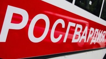 Фото: Росгвардия за неделю задержала 22 подозреваемых в Вологодской области