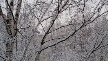 Фото: Холода и снегопады: непогода держится в Вологодской области