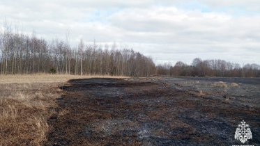 Фото: В Вологодской области бушуют травяные пожары: 360 гектаров уже охвачено огнём