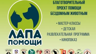 Фото: Череповец приглашает на благотворительный концерт в помощь бездомным животным