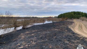 Фото: Весенние палы травы продолжаются в Вологодской области