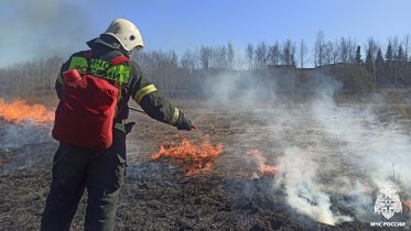 Фото: На Вологодчине за сутки зафиксировано четыре пала сухой травы