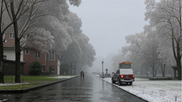 Фото: Снег, дождь и гололёд: непогода накроет Вологодчину раньше прогноза