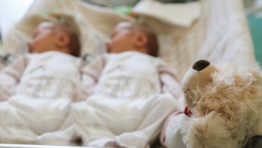 Фото: Вологодские многодетные семьи получают выплату в 300 тысяч рублей