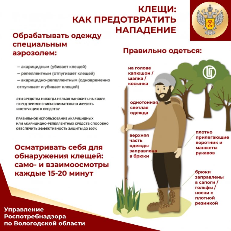 Фото: В Вологодской области зафиксировано почти три тысячи укусов клещей с начала года