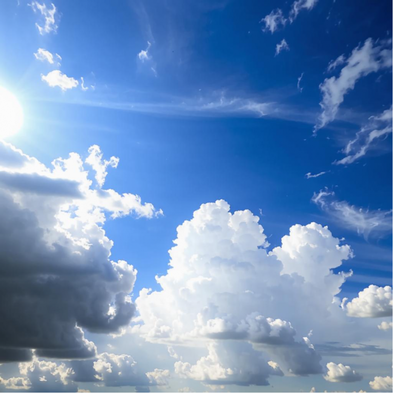 Фото: Вологодская область выходит из холодного мая в летнюю жару