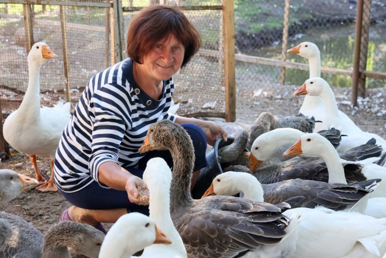 Фото: На Вологодчине стартует конкурс "Вологодское подворье"