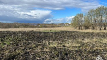 Фото: Под Череповцом потушили крупный пал сухой травы