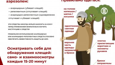 Фото: В Вологодской области зафиксировано почти три тысячи укусов клещей с начала года
