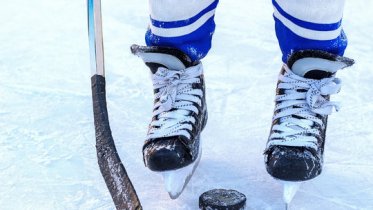 Фото: Губернатор Вологодской области: хоккейное отделение в Шексне продолжит работу в штатном режиме