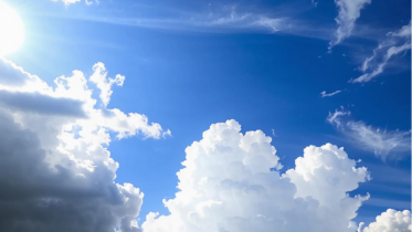 Фото: Вологодская область выходит из холодного мая в летнюю жару