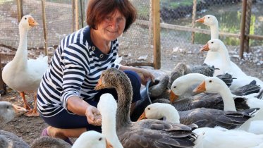 Фото: На Вологодчине стартует конкурс "Вологодское подворье"