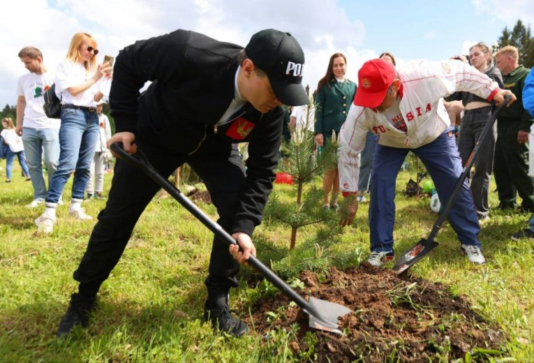 Фото: Вологодская область присоединилась к международной акции "Сад памяти"