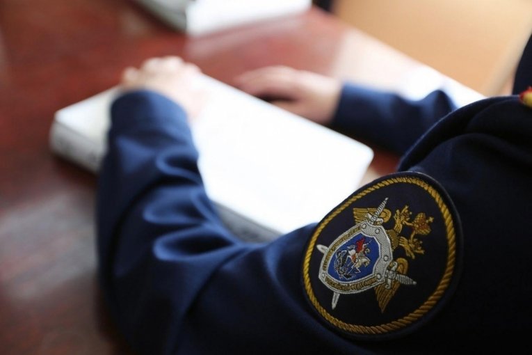 Фото: СКР взял на особый контроль ситуацию в череповецком роддоме