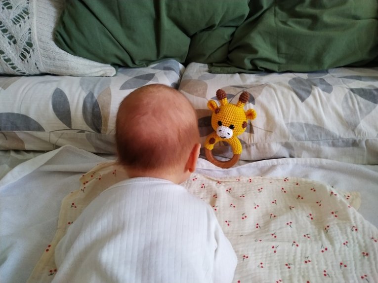 Фото: 675 семей Вологодской области, в которых родились малыши, уже получили новые меры поддержки