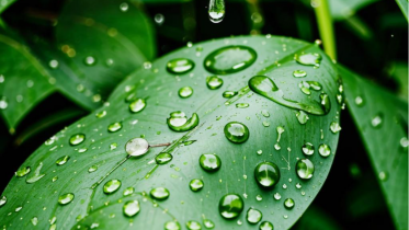 Фото: Неустойчивая погода сохранится на Вологодчине