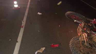 Фото: Трагическое ДТП в Никольском округе: юный череповчанин на мотоцикле погиб в столкновении с телёнком