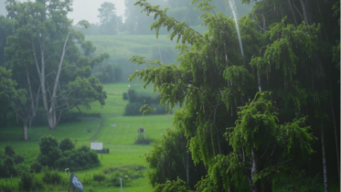 Фото: Теплый, но дождливый июнь на Вологодчине