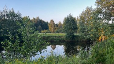 Фото: В Череповецком районе проводится проверка по факту гибели мужчины на реке Улома