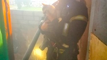 Фото: Череповецкие пожарные спасли кота из горящей квартиры