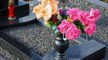 Фото: В Вологодской области названы муниципалитеты с самой высокой и самой низкой смертностью