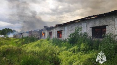 Фото: Названа возможная причина крупного пожара на ферме в Шекснинском округе
