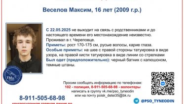 Фото: В Череповце разыскивают пропавшего подростка
