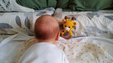 Фото: 675 семей Вологодской области, в которых родились малыши, уже получили новые меры поддержки