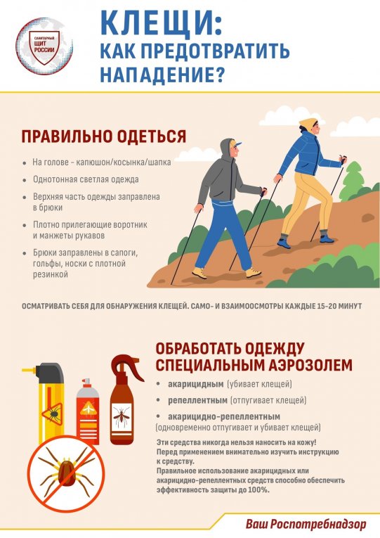 Фото: В Вологодской области с начала года зарегистрировано 14348 пострадавших от клещей