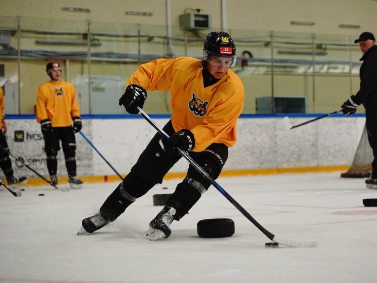 Фото: Череповецкий "Алмаз" начал ледовые тренировки в преддверии нового сезона