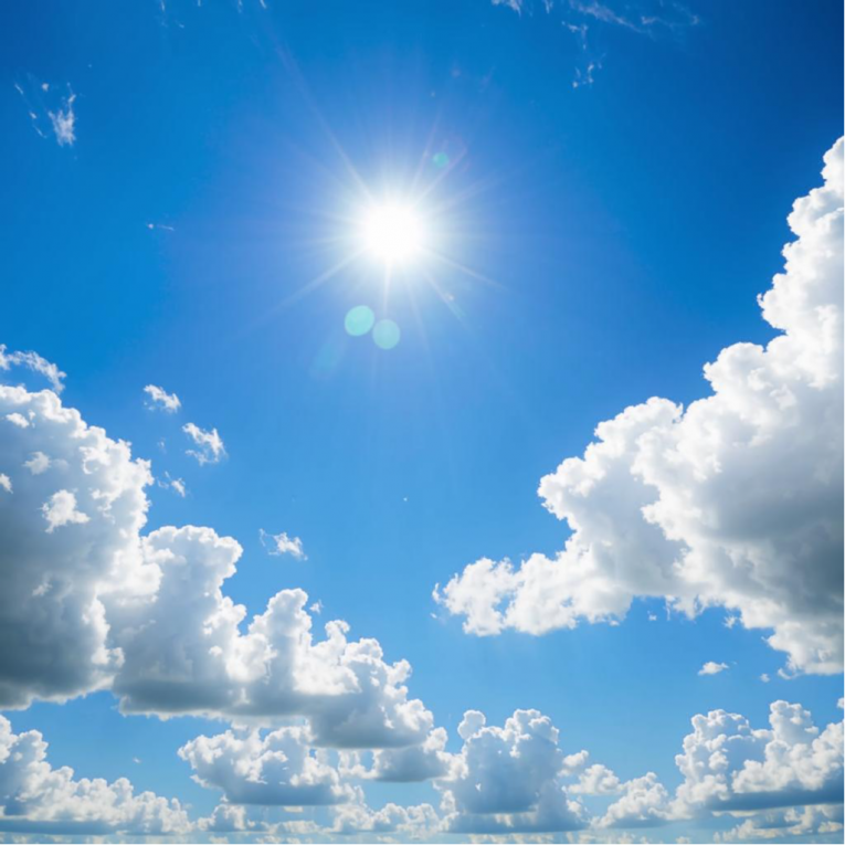 Фото: Жара держится в Вологодской области