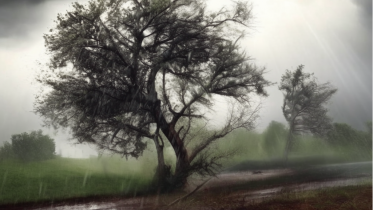 Фото: Неустойчивая погода ждёт жителей Вологодской области в ближайшие дни