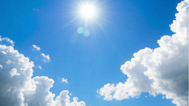 Фото: Лето вступает в свои права в Вологодской области