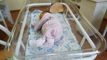 Фото: Молодые семьи Вологодской области получают поддержку при рождении третьего ребенка