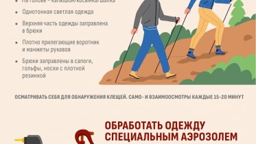 Фото: В Вологодской области с начала года зарегистрировано 14348 пострадавших от клещей